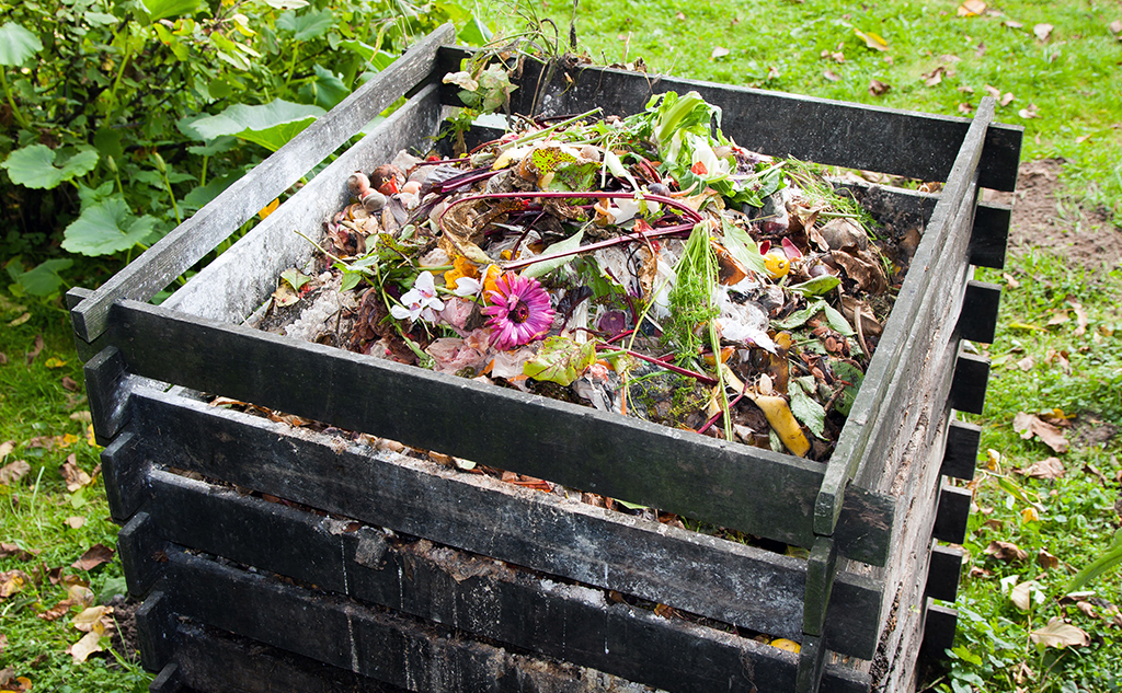 Bio-waste: one of the key issues for the coming years