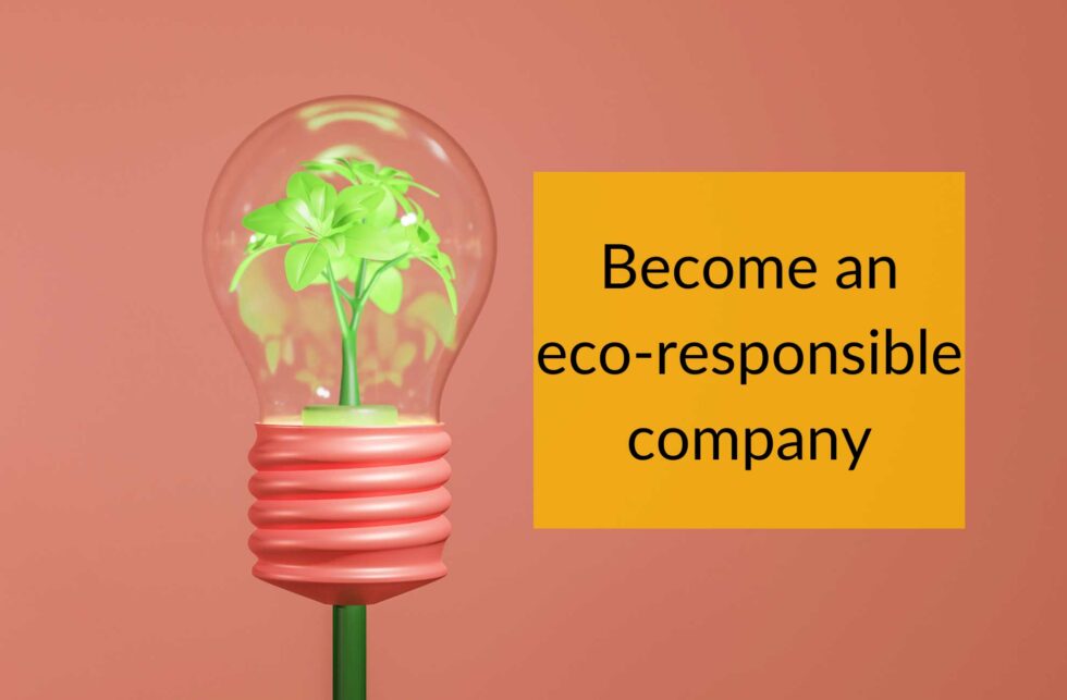 Why Eco Responsibility Matters In Business And How To Achieve It