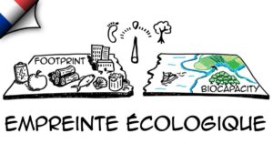 empreinte-ecologique-biodiversite
