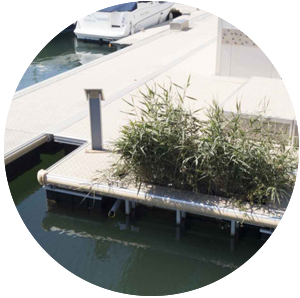 AquaTech Innovation