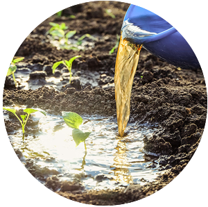 Toopi Organics
