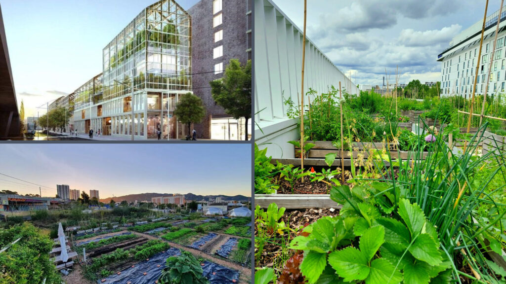 projets-de-ferme-urbaine-marseille-colombes-paris