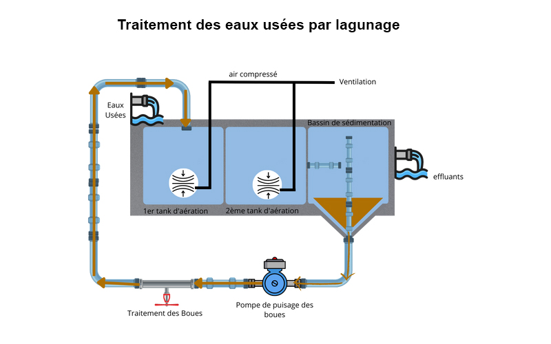 traitement-biologique-des-eaux-usées-par-lagunage