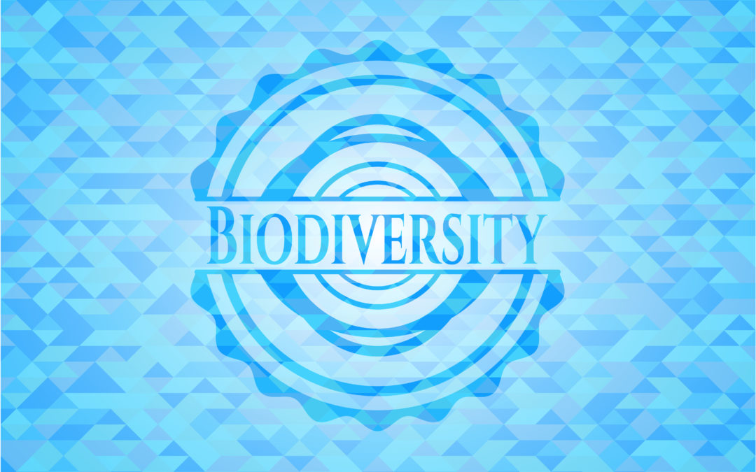 The French biodiversity agency: an initiative in support of the environment