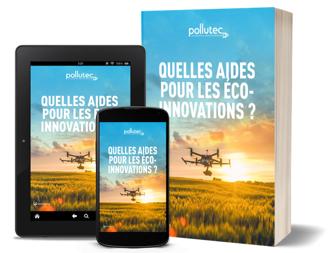 WHAT support FOR ECO-INNOVATIONS? (fr)
