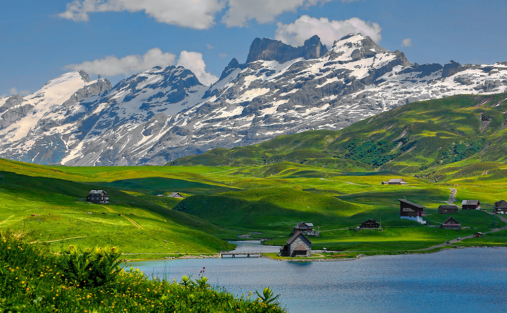 Switzerland: Environmental market trends