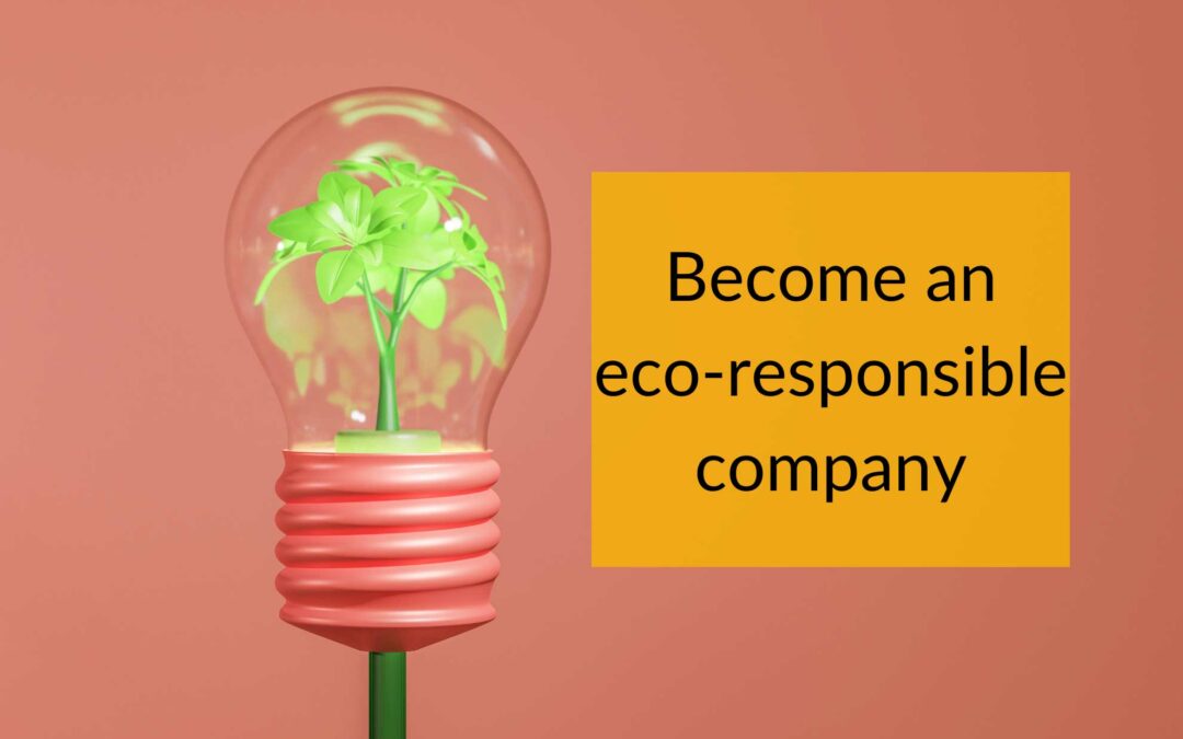 Why eco-responsibility matters in business and how to achieve it ?