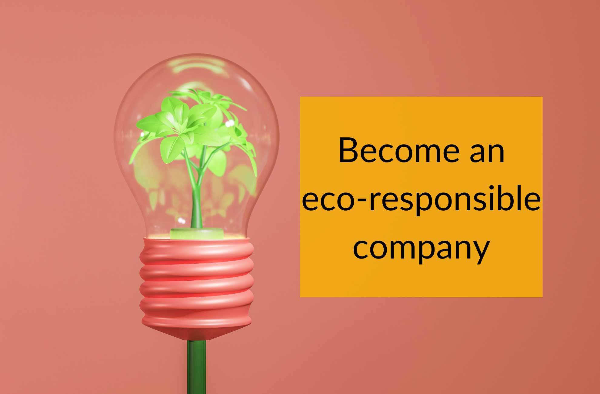 Why Eco-responsibility Matters In Business And How To Achieve It ...