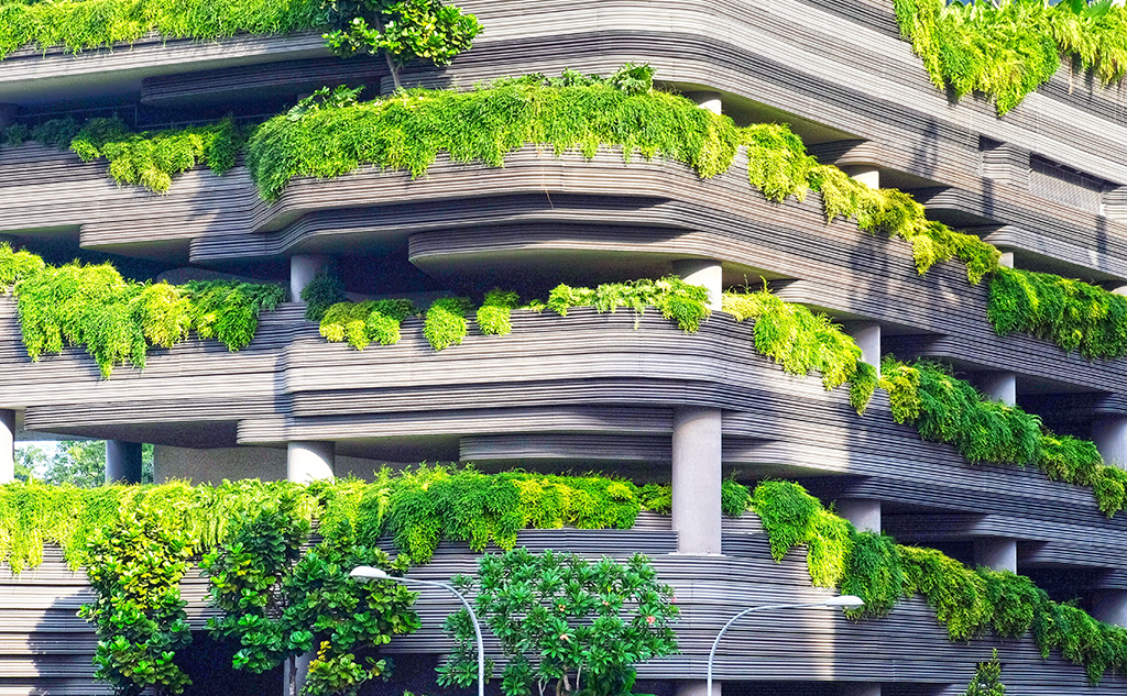 Urban greening: a flourishing sector