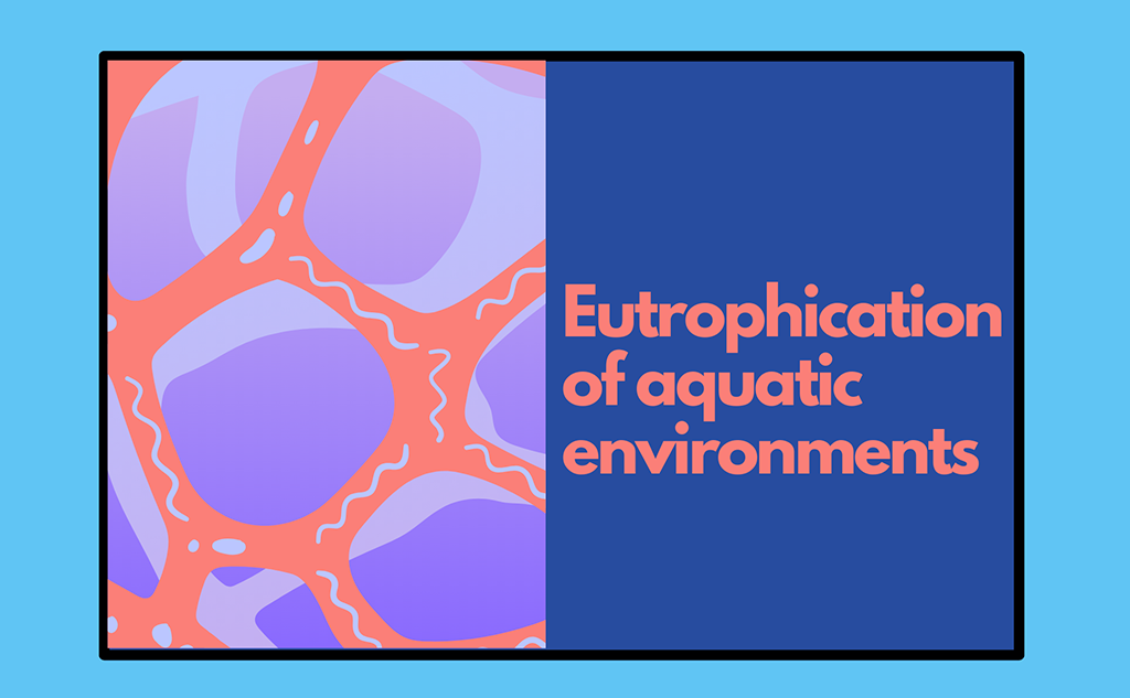 Eutrophisation of aquatic environments – Causes, consequences and solutions