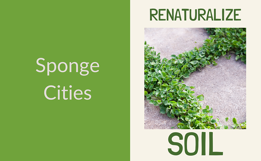 Sponge Cities – Financing programmes to improve ground permeability