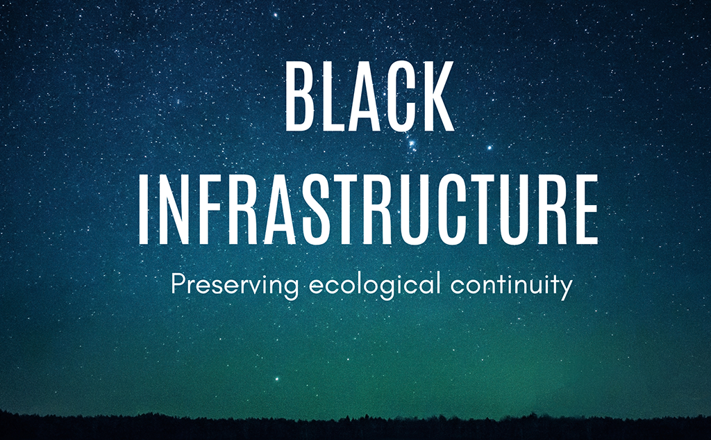THE BLACK INFRASTRUCTURE – EXPLORING IMPACTS, ISSUES, METHODS AND TOOLS