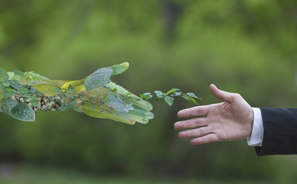 Protection De L'environnement : Quels Outils Pour Suivre La ...