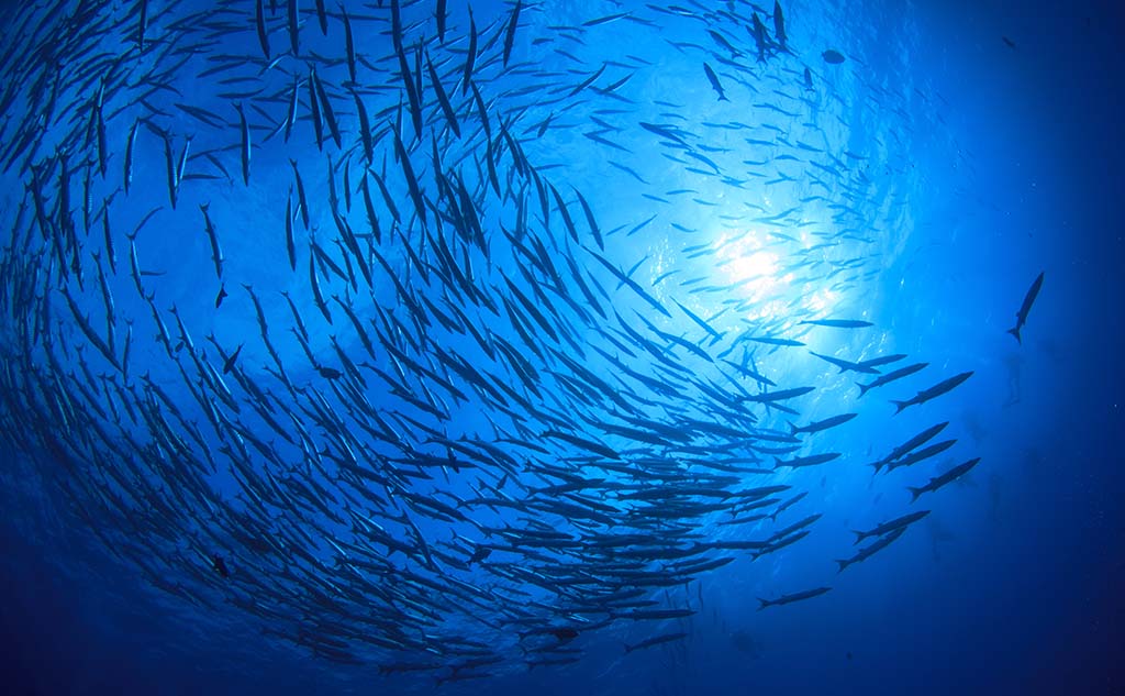 Les principales politiques et initiatives de l’UE liées à la gouvernance des océans