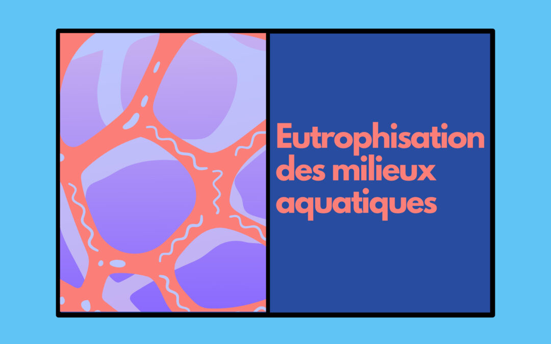 Eutrophisation des milieux aquatiques – Causes, conséquences et solutions