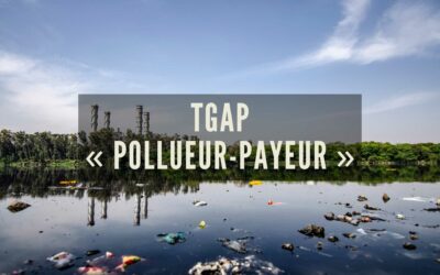TGAP – Tout savoir sur cette taxe environnementale