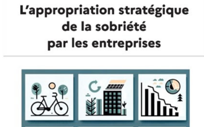Rapport « L’appropriation stratégique de la sobriété par les entreprises »