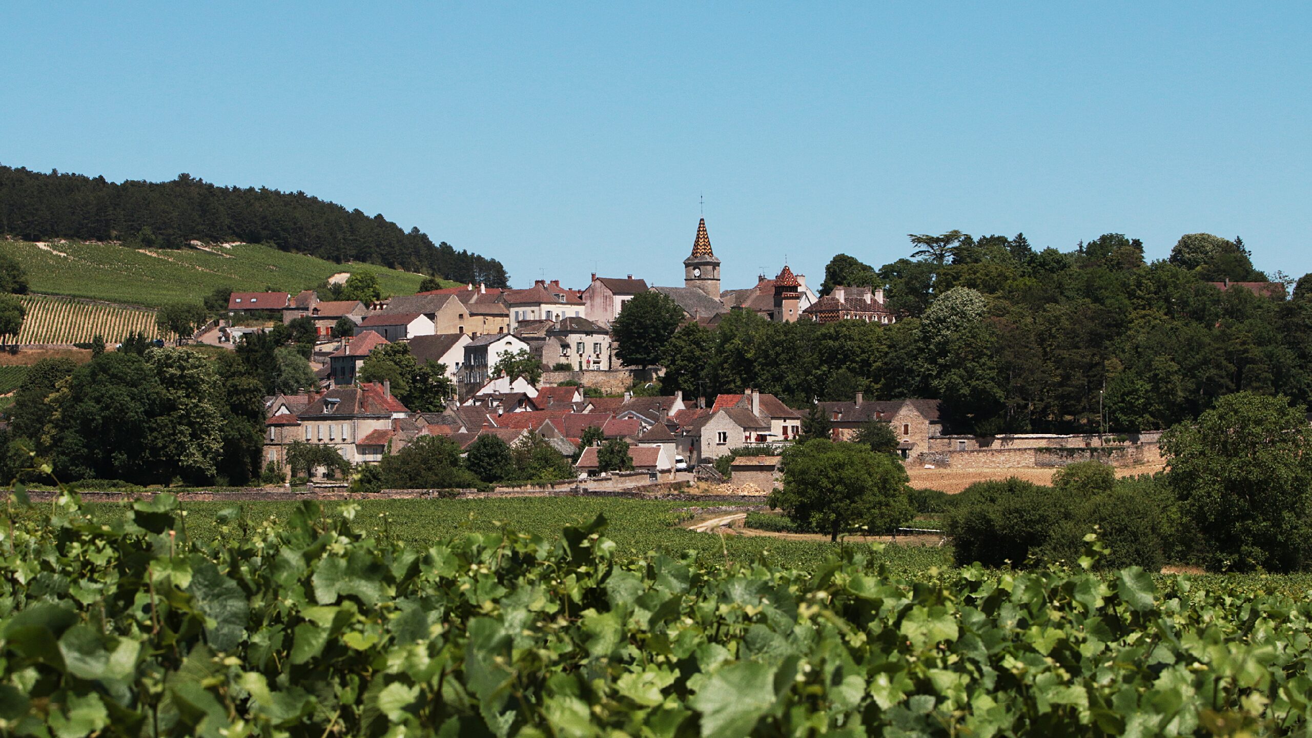 Nos régions ont du talent : Bourgogne